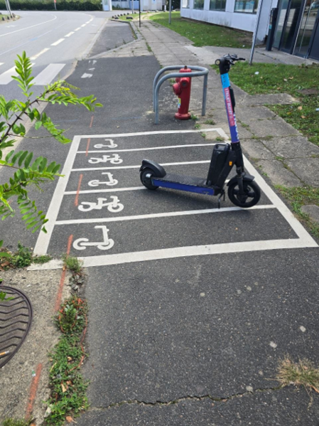 File:ParisScooterStation.png